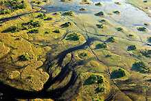 Luftaufnahme des Okavango-Deltas mit überschwemmten Gräsern