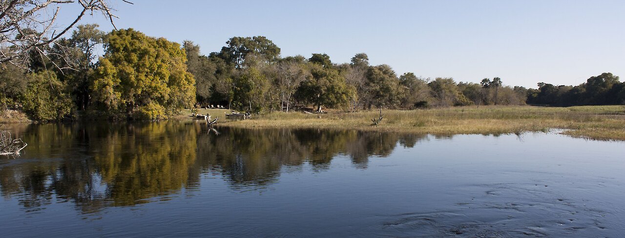 Flussufer bei Maun