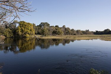 Flussufer bei Maun