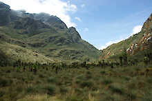Blick auf Ruwenzori-Mountains