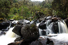 Wasserfall im Ruwenzori-Mountains-Nationalpark