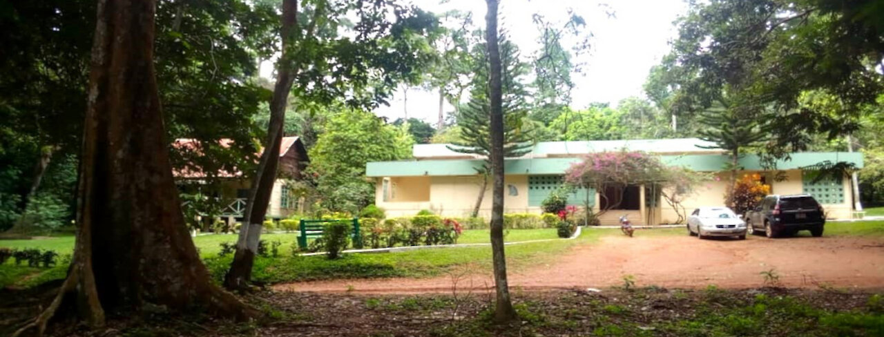 Bobiri Forest Reserve von außen