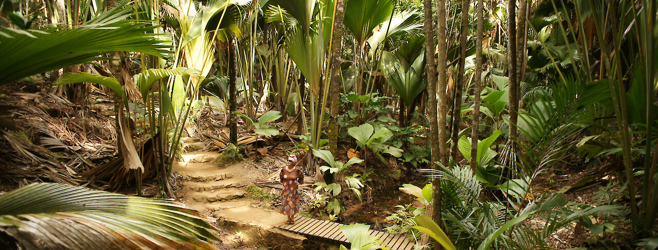 Tourist im Vallée de Mai