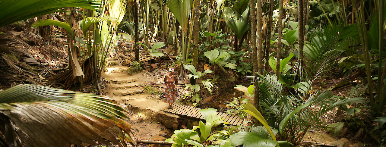 Tourist im Vallée de Mai