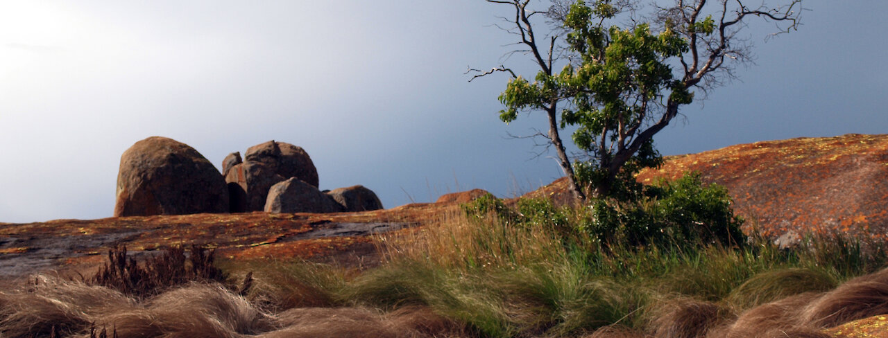 Landschaft im Matobo-Nationalpark