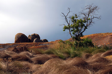 Landschaft im Matobo-Nationalpark
