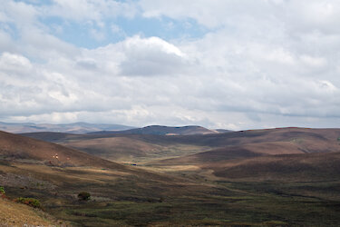Landschaft des Nyika-Plateaus
