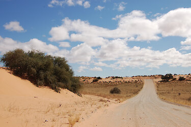 Straße in der Kalahari