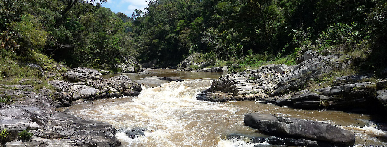 Reißender Fluss im Ranomafana-Nationalpark