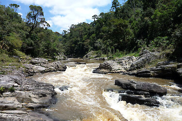Reißender Fluss im Ranomafana-Nationalpark