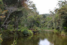 Fluss durch den Andasibe-Mantadia-Nationalpark