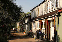 Eine Straße in Freetown