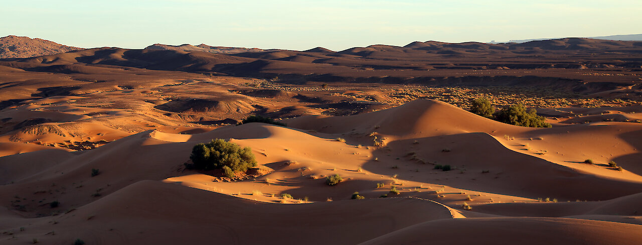 Sanddünen in der Sahara