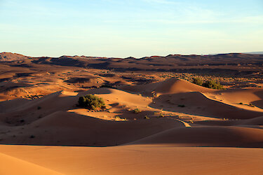 Sanddünen in der Sahara