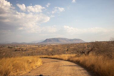 Piste im Ruaha-Nationalpark