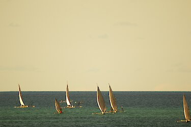 Segeldhaus vor Sansibar