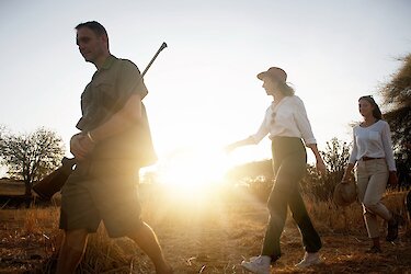 Walking Safari