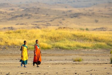 Massai in Savanne