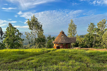 Die Umgebung der Foresight Eco Lodge