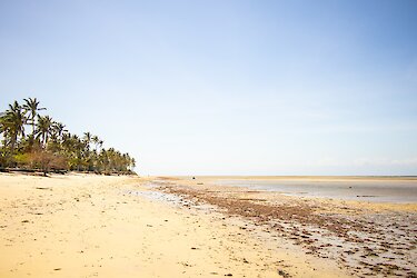 Sandstrand bei Pangani