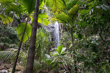 Wasserfall im Vallée de Mai