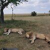 Annette, Manuela, Katrin & Gudrun
