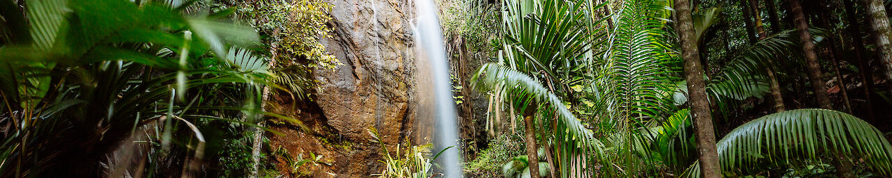Wasserfall im Vallee de Mai auf Praslin
