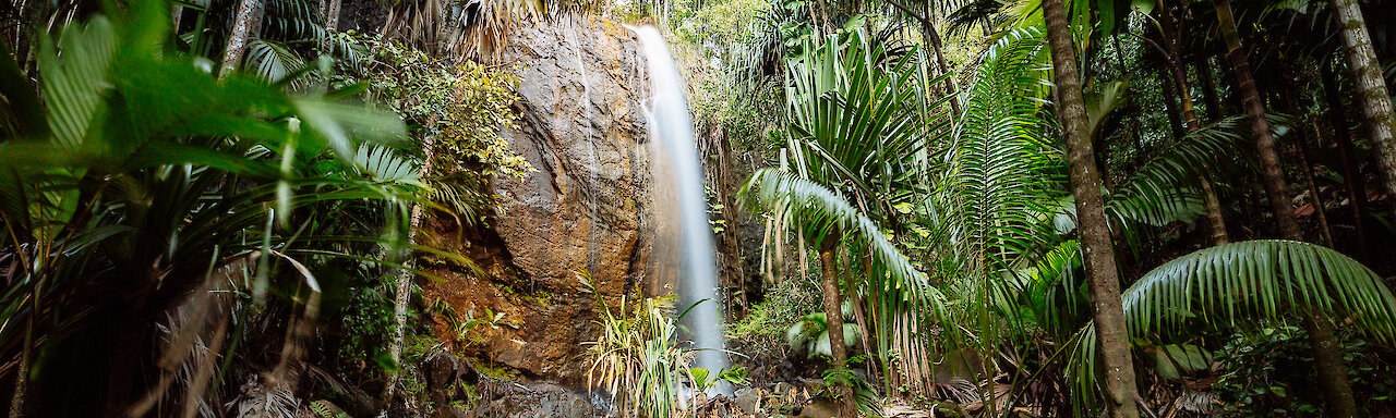 Wasserfall im Vallee de Mai auf Praslin