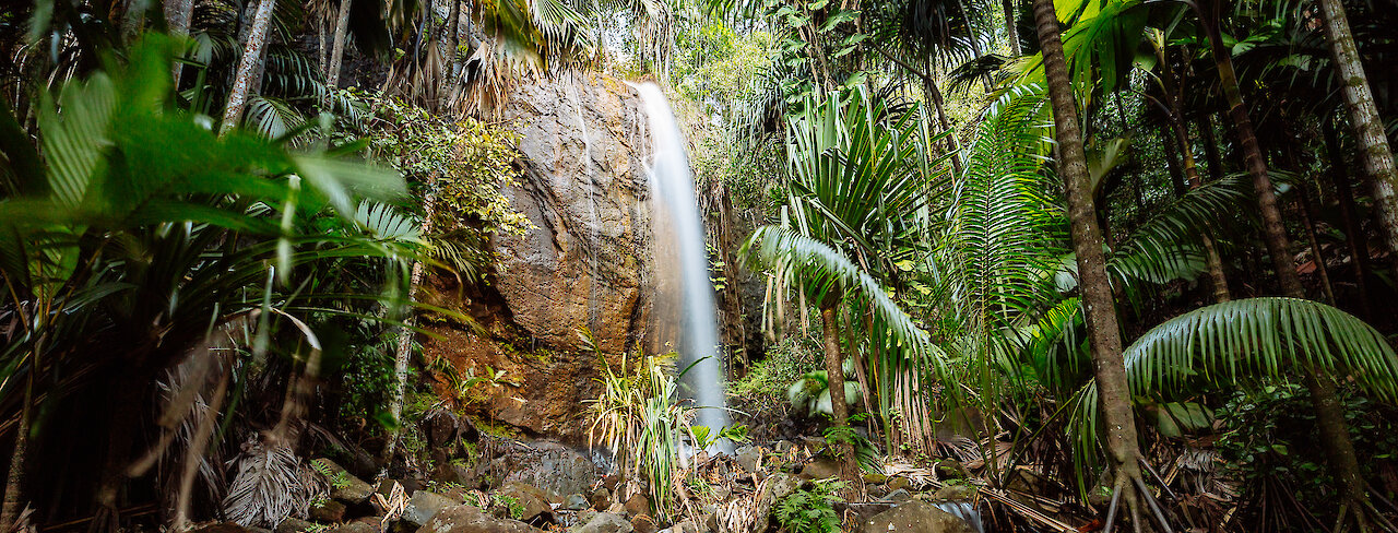 Wasserfall im Vallee de Mai auf Praslin