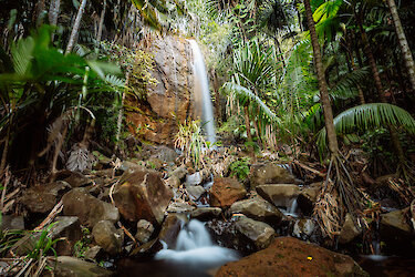 Wasserfall im Vallee de Mai auf Praslin