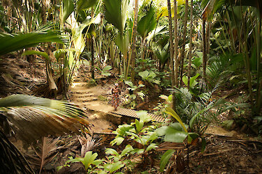 Besucher im Vallee de Mai