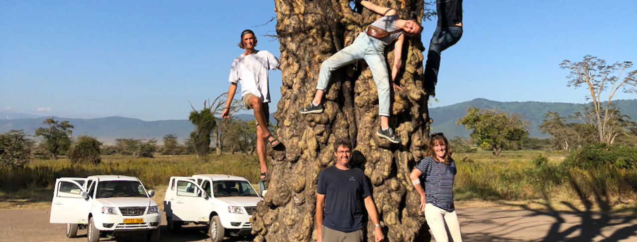 Naturnahe Gäste von Akwaba Afrika im Baum