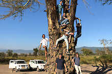 Naturnahe Gäste von Akwaba Afrika im Baum