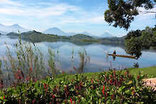 Blumen am Mutanda See