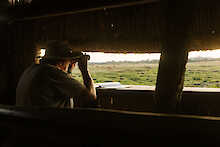 Hideout für Tierbeobachtungen in der Kafunta River Lodge