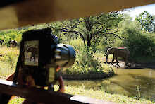 Tier Beobachtungsversteck der Kwa Maritane Bush Lodge