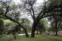 Camp Kwando Umgebung