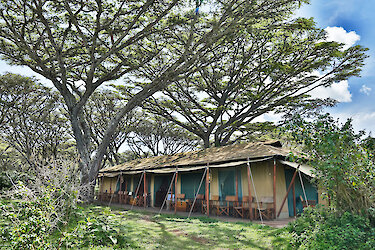 Außenansicht des Lemala Ngorongoro Tented Camp im Akazienwald