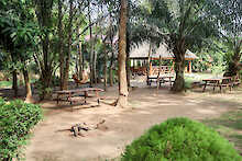 Garten der Tagbo Falls Lodge