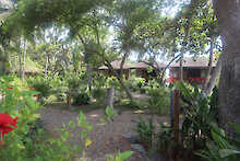 Grüne Umgebung Ko-Sa Beach Resort