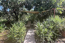 Poolliegen im iKWETA Safari Camp