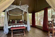 Blick in das Leopard Zelt im iKWETA Safari Camp