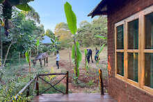 Pferde in der Foresight Eco Lodge