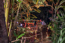 Foresight Eco Lodge am Abend