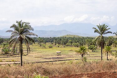 Landschaft in Westtansania