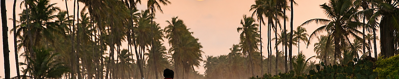 Motorradfahrt durch Palmenlandschaft bei Sonnenuntergang in Togo