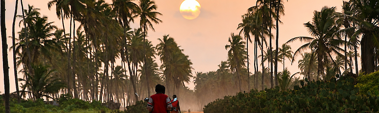 Motorradfahrt durch Palmenlandschaft bei Sonnenuntergang in Togo
