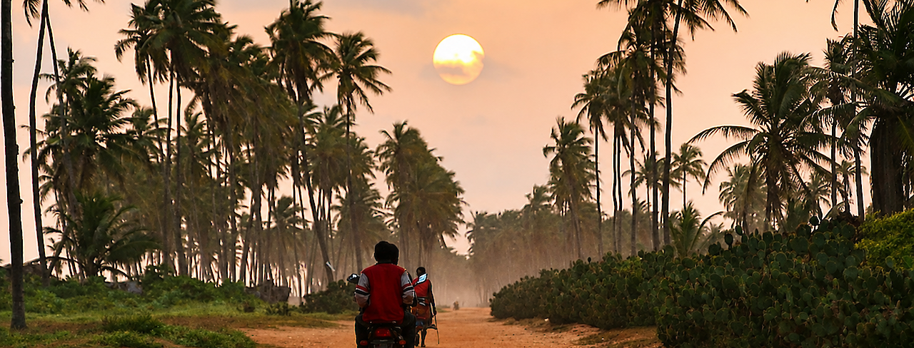 Motorradfahrt durch Palmenlandschaft bei Sonnenuntergang in Togo