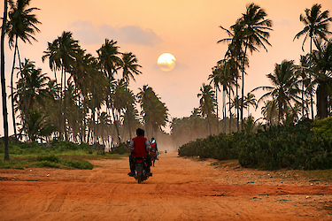 Motorradfahrt durch Palmenlandschaft bei Sonnenuntergang in Togo