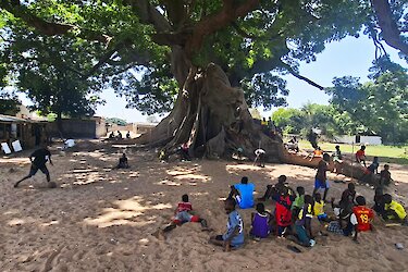Menschen um einen Kapokbaum in Misirah, Senegal.